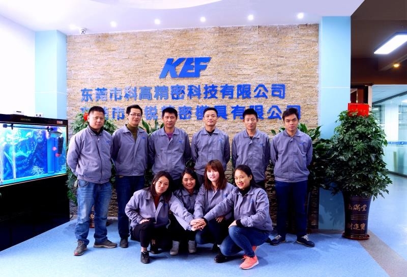 ประเทศจีน Dongguan Kegao Precision Technology Co., Ltd. รายละเอียด บริษัท